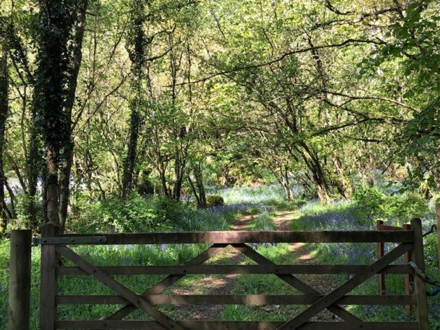 Down The Garden Path Vintage Caravan B&B , Dartmoor Newton Abbot Extérieur photo