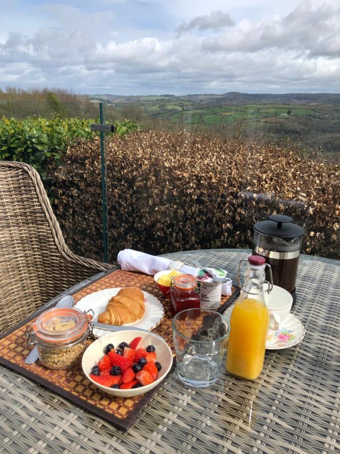 Down The Garden Path Vintage Caravan B&B , Dartmoor Newton Abbot Extérieur photo