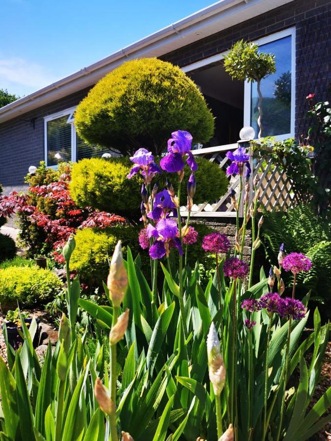 Down The Garden Path Vintage Caravan B&B , Dartmoor Newton Abbot Extérieur photo