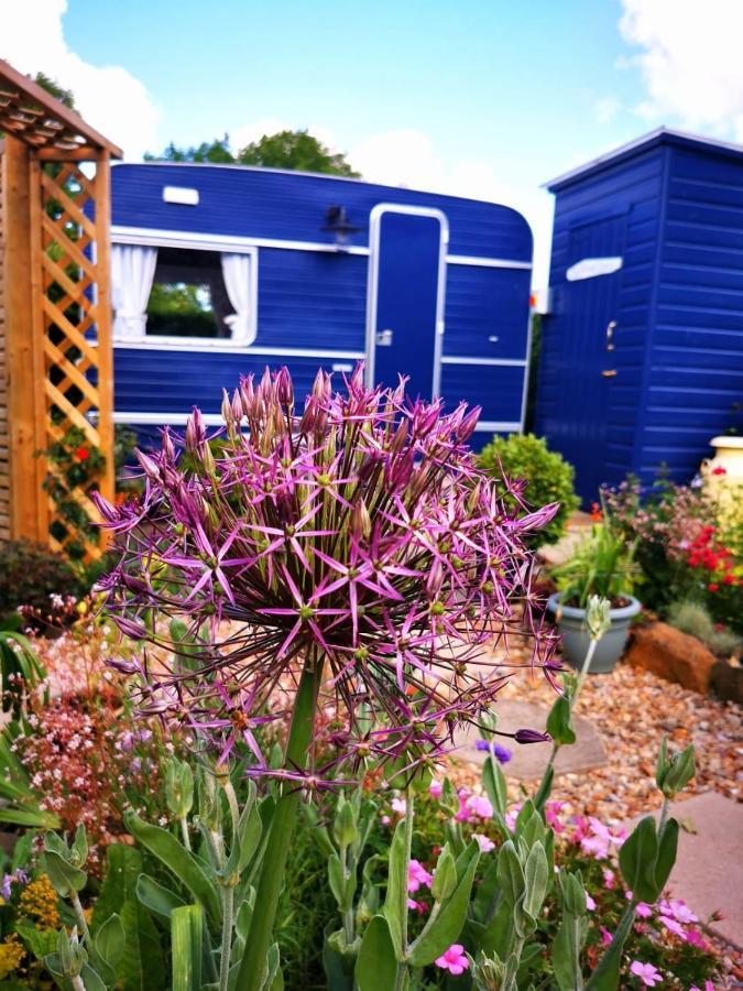 Down The Garden Path Vintage Caravan B&B , Dartmoor Newton Abbot Extérieur photo