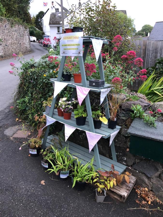 Down The Garden Path Vintage Caravan B&B , Dartmoor Newton Abbot Extérieur photo